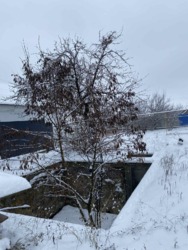 ������ ����� �� �������� ����. ���� 3