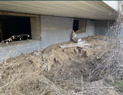 Готель на березі Чорного моря фото 7 Готель на березі Чорного моря фото 7