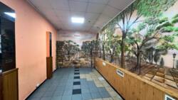 ������ ������ ������ � ��������� ������� 10 ����� ���� 19