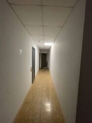 ������ ���������� ��������� ���. ��������� 56 �-� ������� (�� 800 �� �). ���� 8