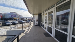 ������ ��������� ��������� ���. �����������, �-� ������ ���� 17