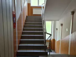  , ,   .  5