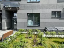 ������� ������������� ������������� ��������� 210 �2 � �� ���������� ���� 19