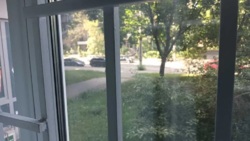 ������� ��������� ���������, ����������� ���� 3