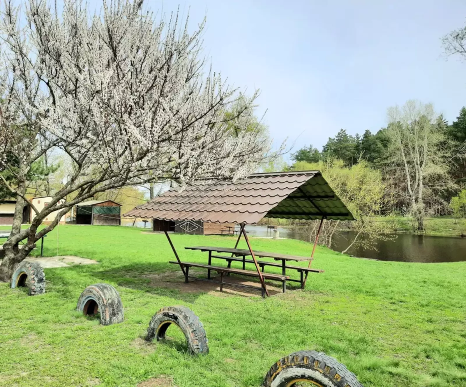 Продается объект Сумская, Сумы, Заречный, Кринична, база Вітязь фото 1 Продается объект Сумская, Сумы, Заречный, Кринична, база Вітязь фото 1