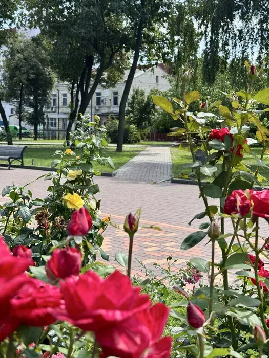 Продается объект Сумская, Сумы, Ковпаковский, Центр фото 1 Продается объект Сумская, Сумы, Ковпаковский, Центр фото 1