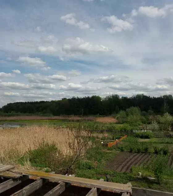 Продается объект Сумская, Сумы, Заречный, Баси фото 1 Продается объект Сумская, Сумы, Заречный, Баси фото 1