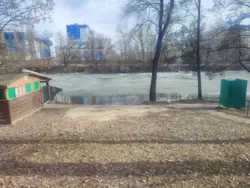 Продается объект парк им. Кожедуба, Сумы, Сумская, Ковпаковский фото 7 Продается объект парк им. Кожедуба, Сумы, Сумская, Ковпаковский фото 7