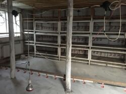 Продается объект Сумская, Сумы фото 5 Продается объект Сумская, Сумы фото 5