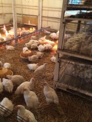 Продается объект Сумская, Сумы фото 6 Продается объект Сумская, Сумы фото 6