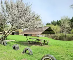 Продается объект Сумская, Сумы, Заречный, Кринична, база Вітязь фото 1 Продается объект Сумская, Сумы, Заречный, Кринична, база Вітязь фото 1