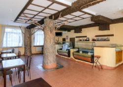 Продается объект Сумская, Сумы, Ковпаковский, Центр Шевченко пр фото 6 Продается объект Сумская, Сумы, Ковпаковский, Центр Шевченко пр фото 6