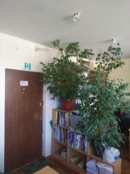 Продается объект Сумская, Сумы, Охтирська вул. фото 6 Продается объект Сумская, Сумы, Охтирська вул. фото 6