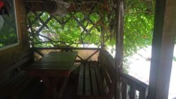 Продается объект Сумская, Сумский, Зеленый Гай, ул. Зеленый Гай фото 2 Продается объект Сумская, Сумский, Зеленый Гай, ул. Зеленый Гай фото 2