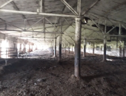 Продается объект Сумская, Шосткинский, Глазово, вул. Центральна, 97 фото 10 Продается объект Сумская, Шосткинский, Глазово, вул. Центральна, 97 фото 10