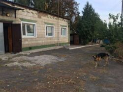 Инкубатор фото 2 Инкубатор фото 2