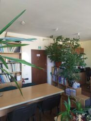 Продается объект Сумская, Сумы, Охтирська вул. фото 5 Продается объект Сумская, Сумы, Охтирська вул. фото 5