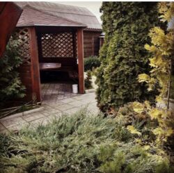 Продается объект Сумская, Сумы, В. Песчаное фото 3 Продается объект Сумская, Сумы, В. Песчаное фото 3