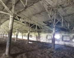 Продается объект Сумская, Шосткинский, Глазово, вул. Центральна, 97 фото 9 Продается объект Сумская, Шосткинский, Глазово, вул. Центральна, 97 фото 9