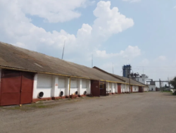 Продам готовый бизнес Действующий элеватор с Ж\Д веткой. фото 11 Продам готовый бизнес Действующий элеватор с Ж\Д веткой. фото 11