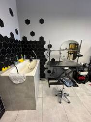 салон грумінгу фото 15 салон грумінгу фото 15