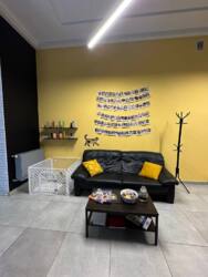 салон грумінгу фото 18 салон грумінгу фото 18