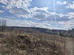 ��������.����������, 2,78��. (24105448) ���� 6