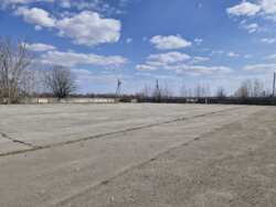 ��������.����������, 2,78��. (24105448) ���� 14