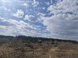 ��������.����������, 2,78��. (24105448) ���� 10