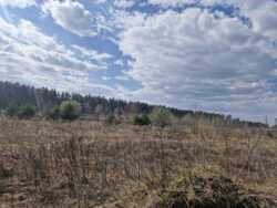 ��������.����������, 2,78��. (24105448) ���� 5