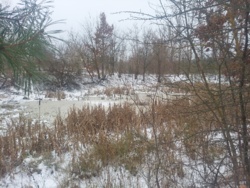 Продаж комплексу с.Залізня, Житомирський район. фото 22 Продаж комплексу с.Залізня, Житомирський район. фото 22