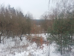 Продаж комплексу с.Залізня, Житомирський район. фото 53 Продаж комплексу с.Залізня, Житомирський район. фото 53