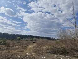 ��������.����������, 2,78��. (24105448) ���� 9