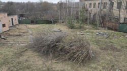 ��������� ��'��� �������� ����������, ����������, ���������������, ����������� ���� 20