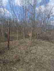 Продаж складського приміщення. Корбутівка.(24105425) фото 5 Продаж складського приміщення. Корбутівка.(24105425) фото 5