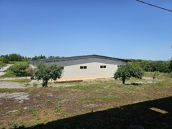 Продається об'єкт Тернопільська, Борщевський, Борщів, Федьковича фото 2 Продається об'єкт Тернопільська, Борщевський, Борщів, Федьковича фото 2