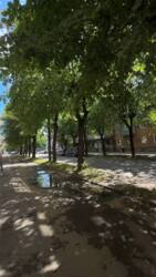 Продається об'єкт Бельведерська вул., Івано-Франківськ, Івано-Франківська, Центр фото 3 Продається об'єкт Бельведерська вул., Івано-Франківськ, Івано-Франківська, Центр фото 3