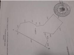 ��������� ��'��� ��������, ������, �����-���������� ���� 10