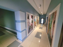 ��������� ��'��� ������������� �. ���., 78, �����-���������, �����-���������� ���� 37