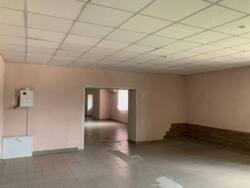 ��������� ��'��� �����-����������, �����-��������� ����, �������, ��������, 203 ���� 4