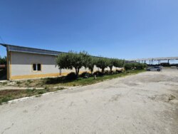 Продається об'єкт Тернопільська, Борщевський, Борщів, Федьковича фото 1 Продається об'єкт Тернопільська, Борщевський, Борщів, Федьковича фото 1