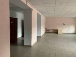 ��������� ��'��� �����-����������, �����-��������� ����, �������, ��������, 203 ���� 3