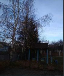 ��������� ��'��� ˳���� ���������, �������������, �����-���������� ���� 12