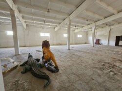 Продається об'єкт Тернопільська, Борщевський, Борщів, Федьковича фото 15 Продається об'єкт Тернопільська, Борщевський, Борщів, Федьковича фото 15