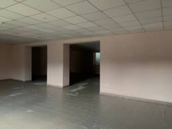 ��������� ��'��� �����-����������, �����-��������� ����, �������, ��������, 203 ���� 5