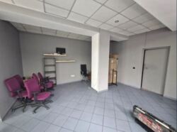 ��������� ��'��� ������������ ���., �����-���������, �����-����������, ����� ���� 8