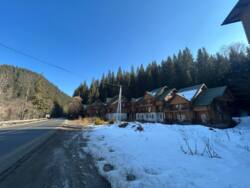 ��������� ��'��� ��������, ������, �����-���������� ���� 1