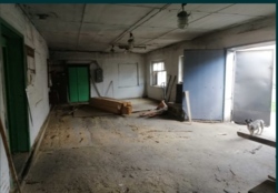 ������ ���� ����������� ����������� � �������������� ���� 17