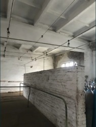 ������ ���� � ������������ ���� 10