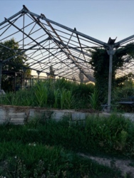 Продам теплиці в Кропивницькому в Соколівці фото 5 Продам теплиці в Кропивницькому в Соколівці фото 5